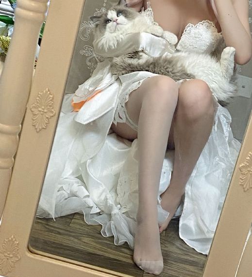 电视剧好团圆