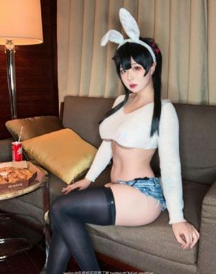 细狗视频vip
